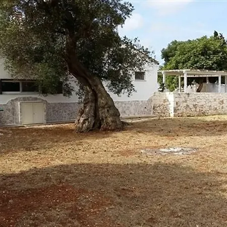 Apartment House With 3 Bedrooms In Serranova, With Furnished Garden - 1.8 Km Fro